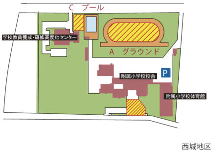 西城地区避難場所（附属小学校・学校教員養成・研修高度化センター）