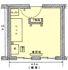 Ⅱ型